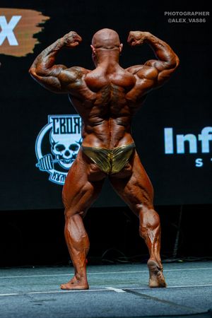 BODYBUILDING 102